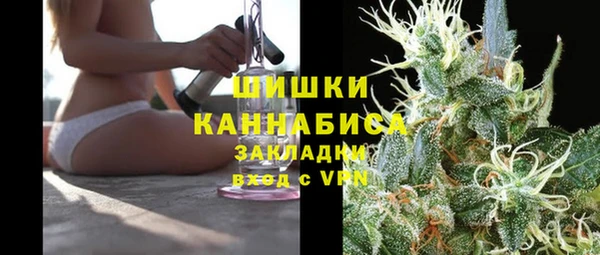 дживик Володарск