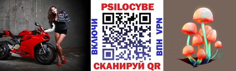 Псилоцибиновые грибы Psilocybe  Купить закладки  Кудымкар 